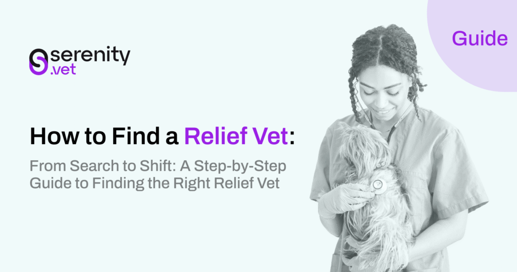 How to Find a Relief Vet- Vetting, Booking, and Getting the Right Fit
