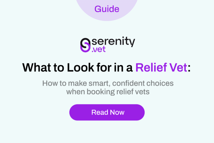what to look for in a relief vtet