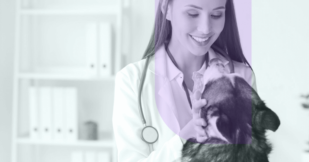 When to Hire a Relief Veterinarian - Seasonal Surges and Unpredictable Caseloads