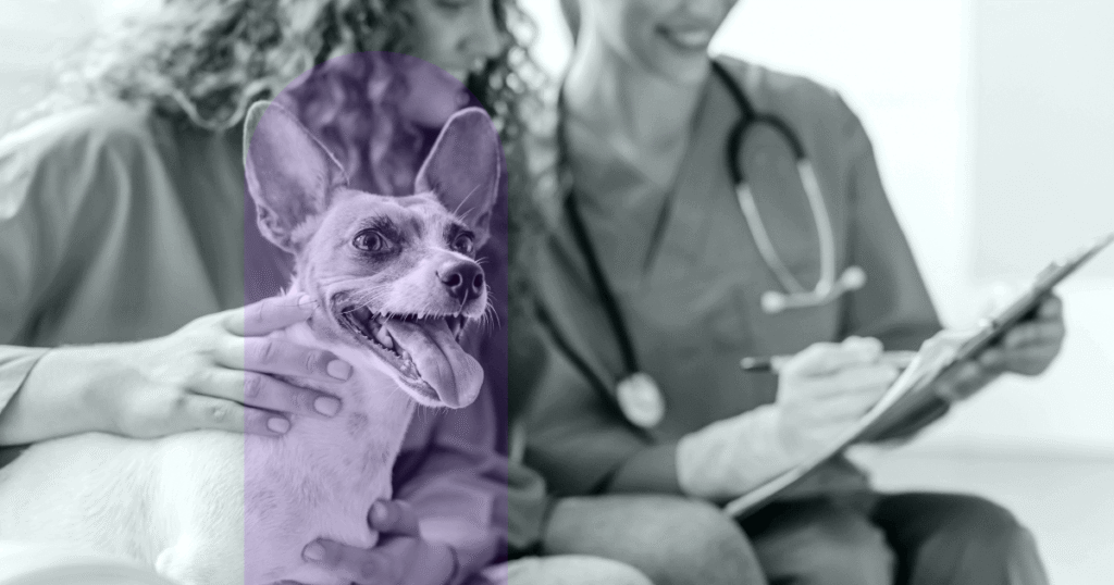 When to Hire a Relief Veterinarian - Loss of Growth Opportunities